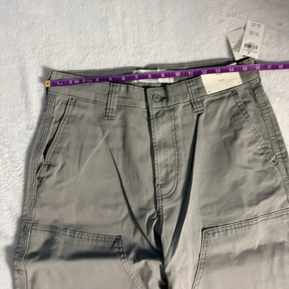 Hollister Baggy Stretch Carpenter Pants Men’s 30x30 Taupe Utility Workwear NWT